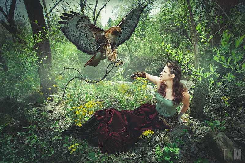 Huntress, eagle, forest, fly, girl, HD wallpaper | Peakpx