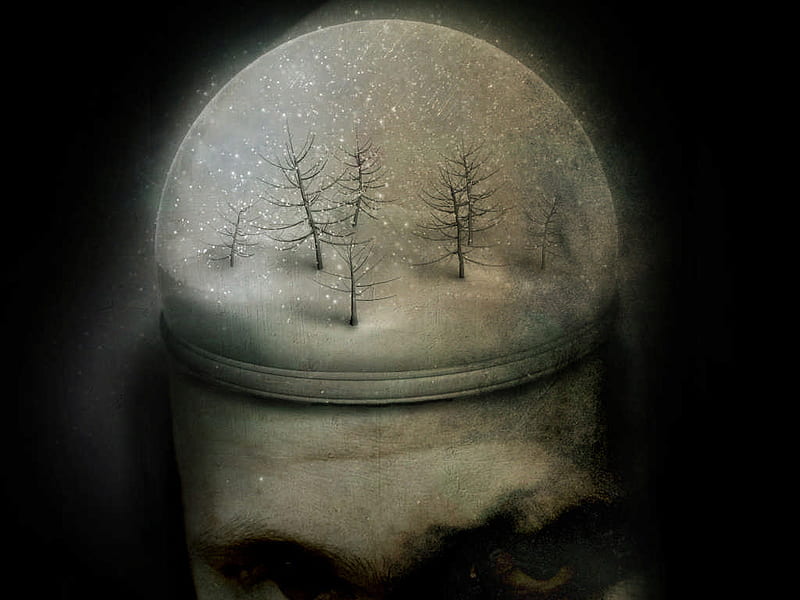 Thoughts of Winter, globe, woods, black and white, man, unique, trees, old man, winter, forst, snow, snow globe, HD wallpaper