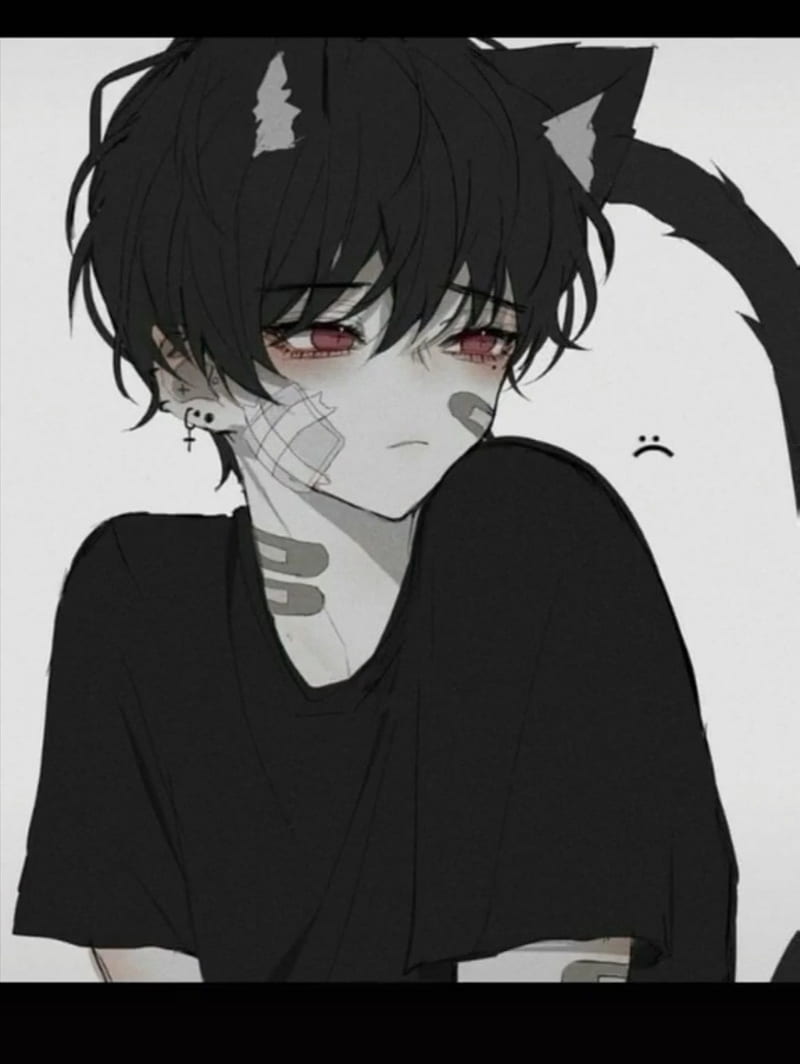 Png Black And White Stock Boy And Png Images Pluspng  Anime Boy With Cat  Ears Transparent Png  vhv
