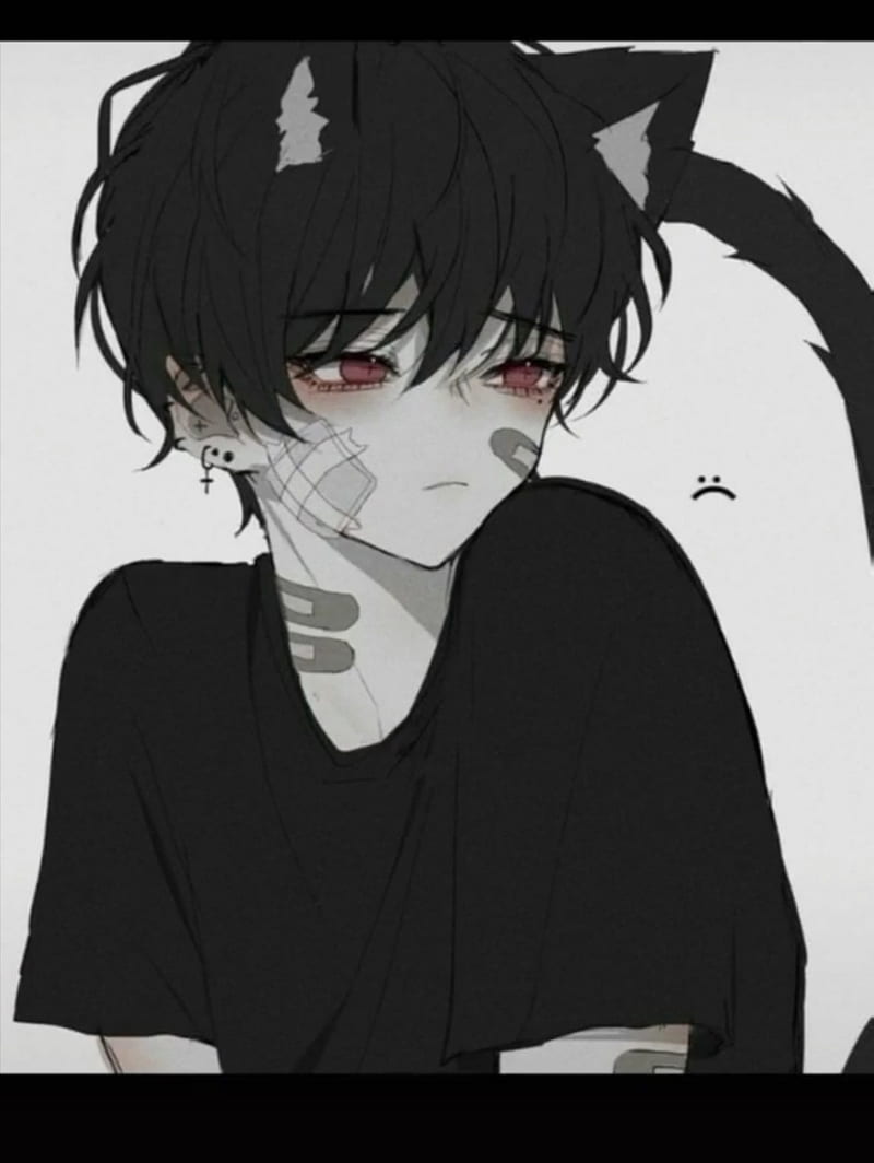 Download Anime Demon Cat Boy Wallpaper | Wallpapers.com