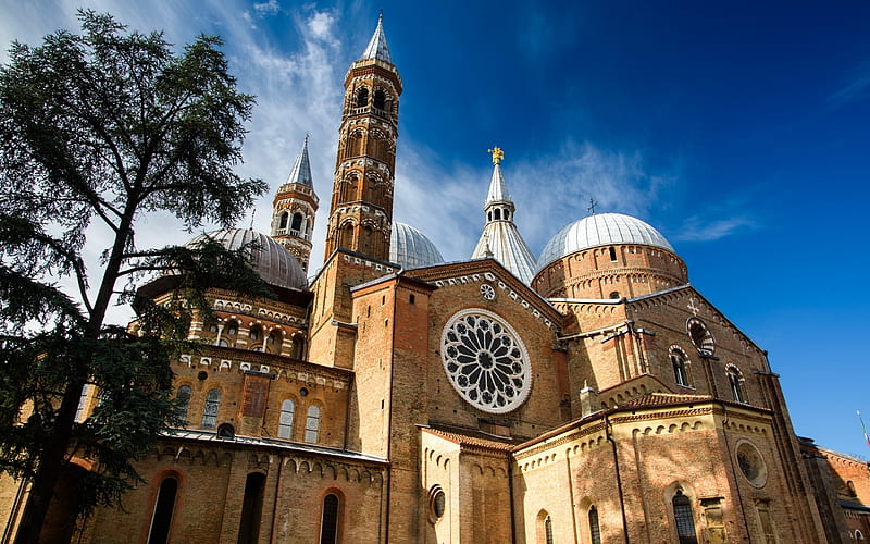Cathedral in Italy, cathedral, church, Padua, Italy, HD wallpaper
