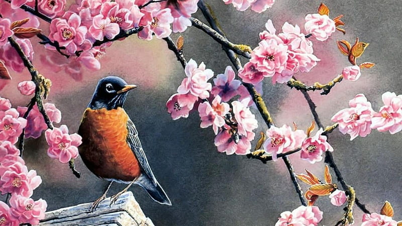 SPRING TIME IS HERE, BLOOMS, SPRING, CHERRY, TIME, ROBIN, BLOSSOMS, PAINTING, HD wallpaper
