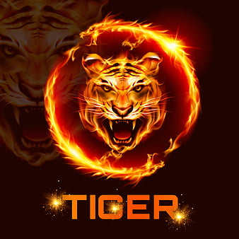 Manada507 Logo, manada, pastoral, tiger, HD phone wallpaper | Peakpx