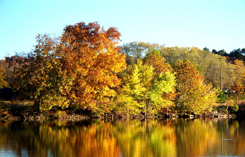 Cumberland River, fall, autumn, water, yellow, river, reflections, trees, HD wallpaper