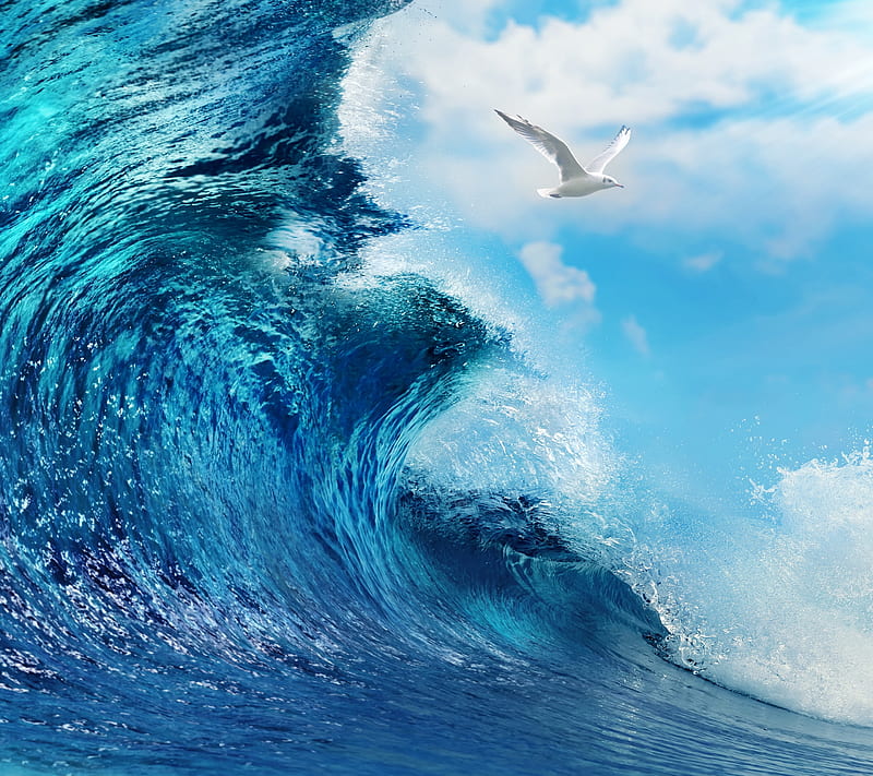 Tidal, ocean, sea, water, wave, HD wallpaper