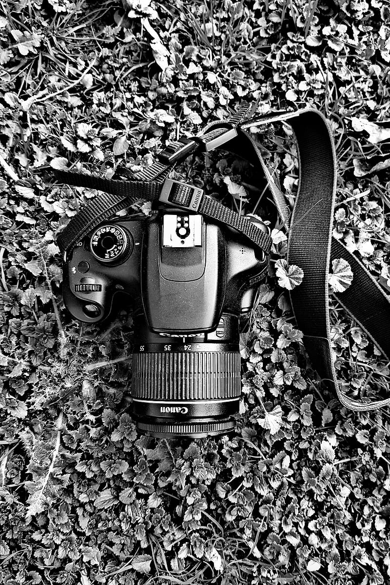 Camera, blackandwhite, bw, canon, grass, lens, old, HD phone wallpaper