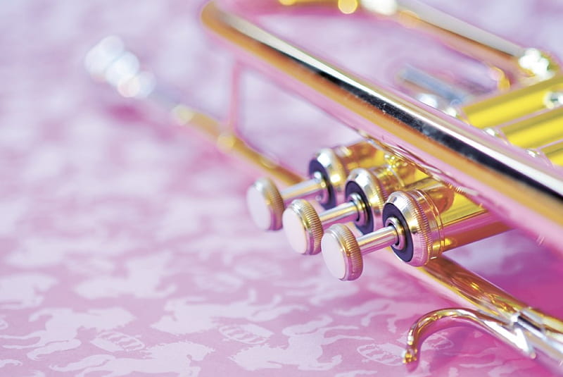 A Trumpet , metal, instrument, graphy, music, copper, trumpet, tunes, HD wallpaper