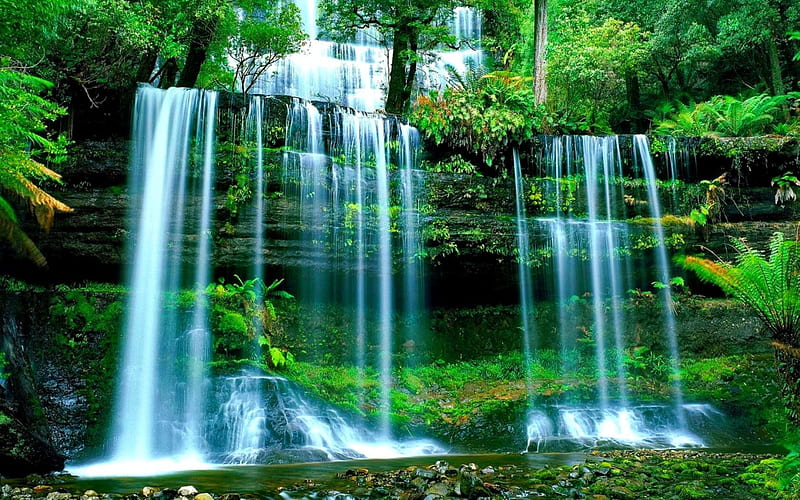 Waterfall in Tasmania, fall, rocks, pretty, falling, bonito, nice, national park, prk, Tasmania, forest, lovely, greenery, park, trees, water, summer, nature, HD wallpaper
