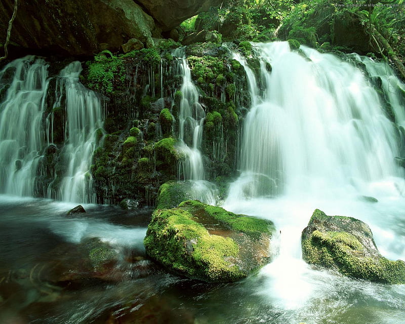 beautiful waterfall, stones, big, waterfall, bonito, greens, trees, HD wallpaper