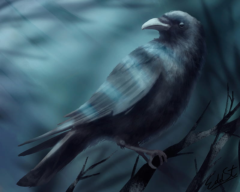 raven, bird, branch, black, art, HD wallpaper
