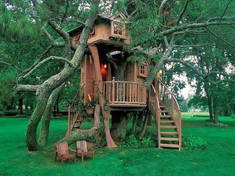 cool treehouse, architecture, treehouse, cool, house, HD wallpaper