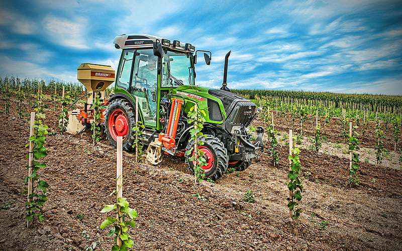 Fendt 210 VFP Vario, vineyards, 2020 tractors, R, agricultural machinery, tractor in the vineyard, agriculture, Fendt, HD wallpaper