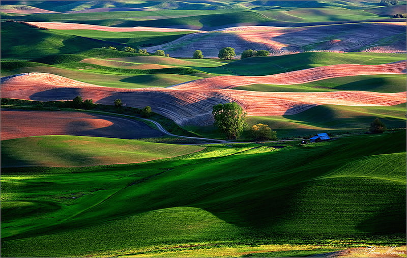 Rolling Fields, colorful, hills, nature, fields, HD wallpaper