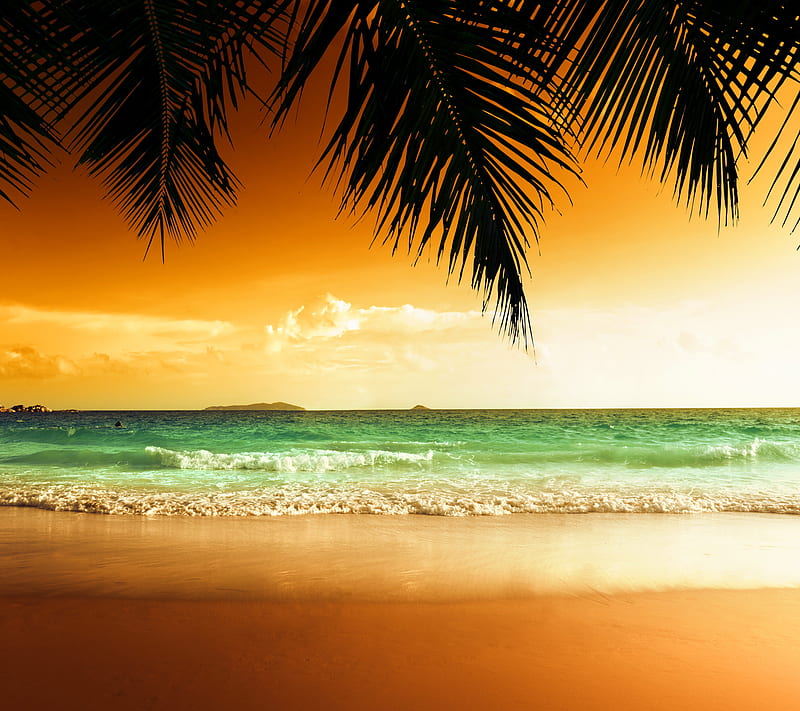 Tropical Beach, bonito, palms, sea, sunset, tropics, water, HD wallpaper
