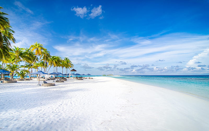 Maldives, luxury beach, ocean, Finolhu beach, Kanufushi Island, tropical island, palm trees, HD wallpaper