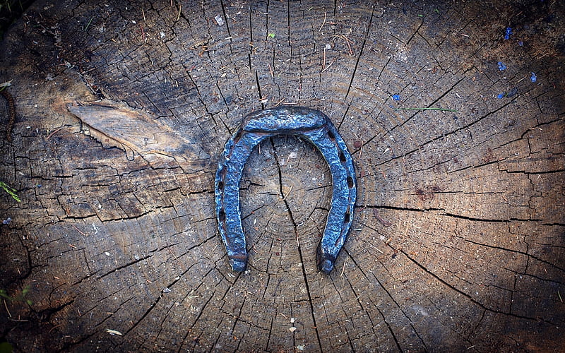 horseshoe, luck, stump, HD wallpaper