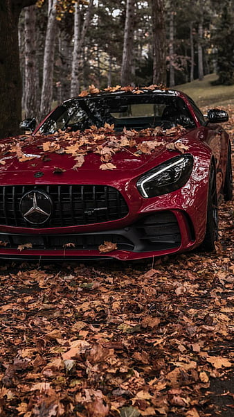 Mercedes AMG GTS, mercedes, amg, gt, red, car, supercar sports, america, autumn, HD phone wallpaper