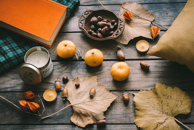 tangerines, acorns, leaves, chestnuts, autumn, HD wallpaper