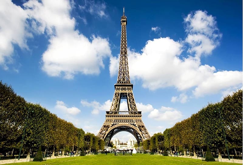 Eiffel Tower, France, Tower, Paris, tree, HD wallpaper | Peakpx