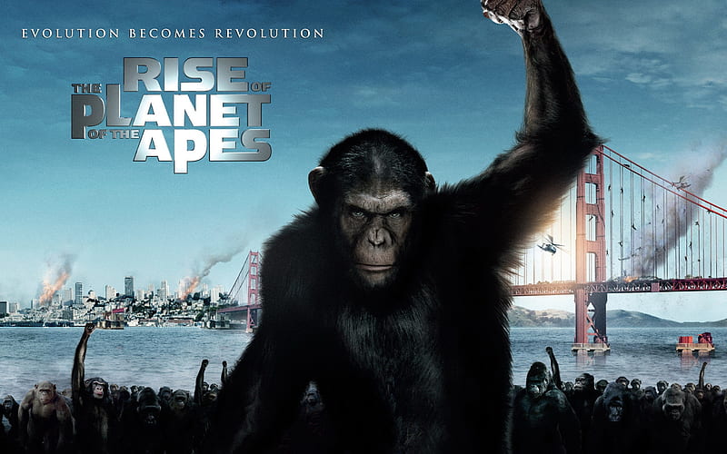Rise of the Planet of the Apes movie 07, HD wallpaper