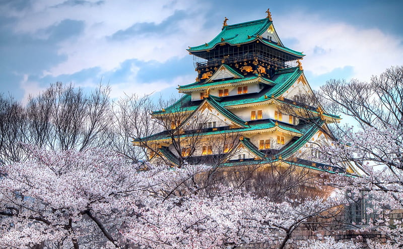 Temple, japan, sky, japanese temple, cherry tree, HD wallpaper