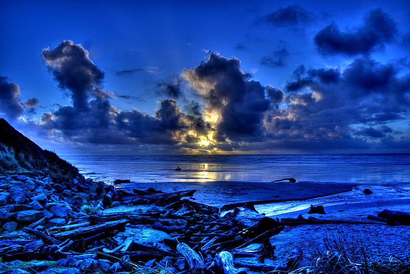 Blue Dawn, driftwood, beach, dark, ocean, sunrise, blue, HD wallpaper