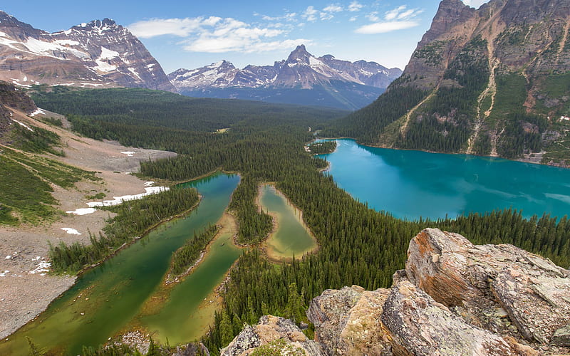 Forest, valley, mountain landscape, glacial lakes, Canada, Yoho ...
