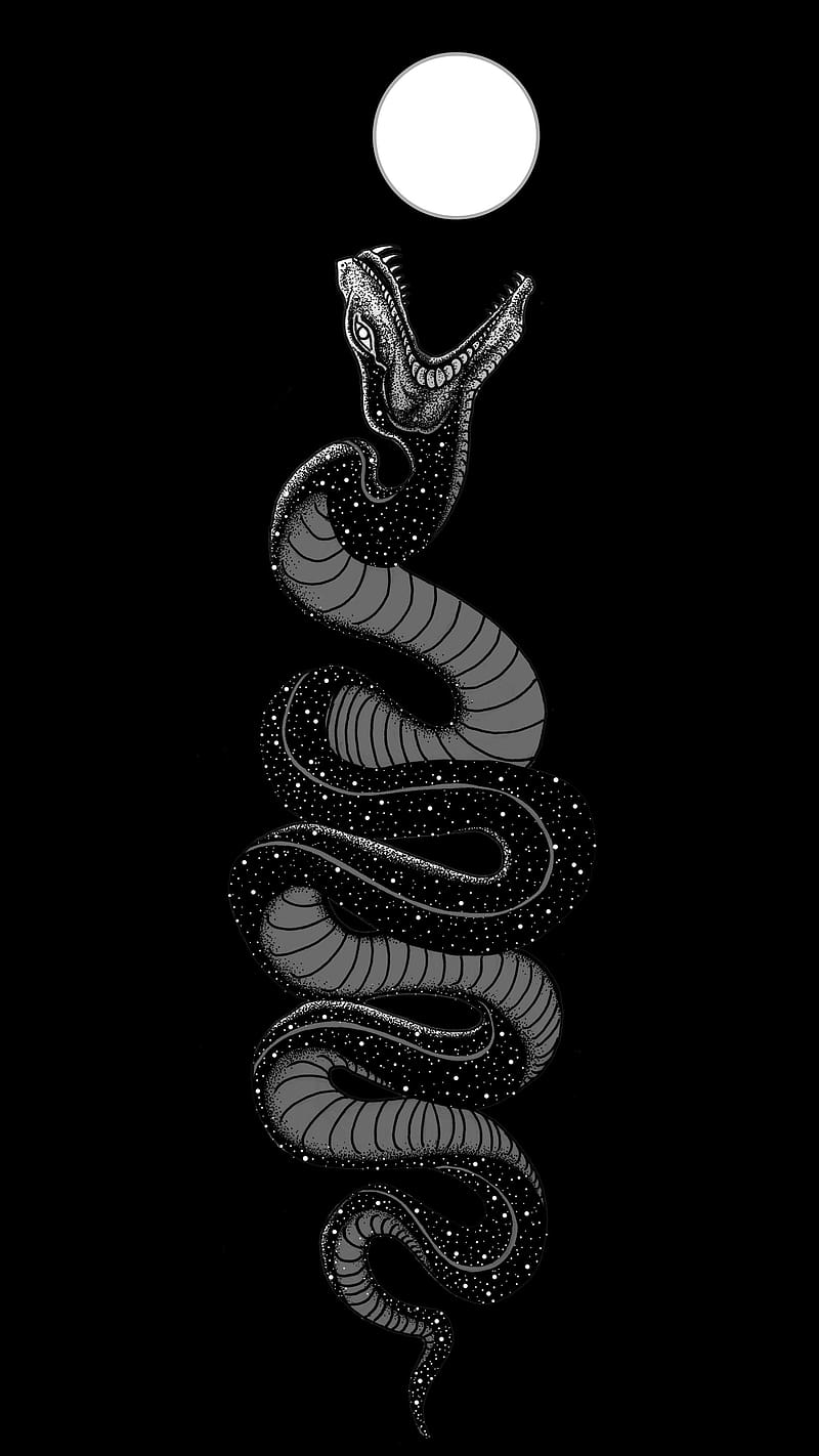 Aesthetic Black Snake, aesthetic black, snake, moon, black background, HD phone wallpaper