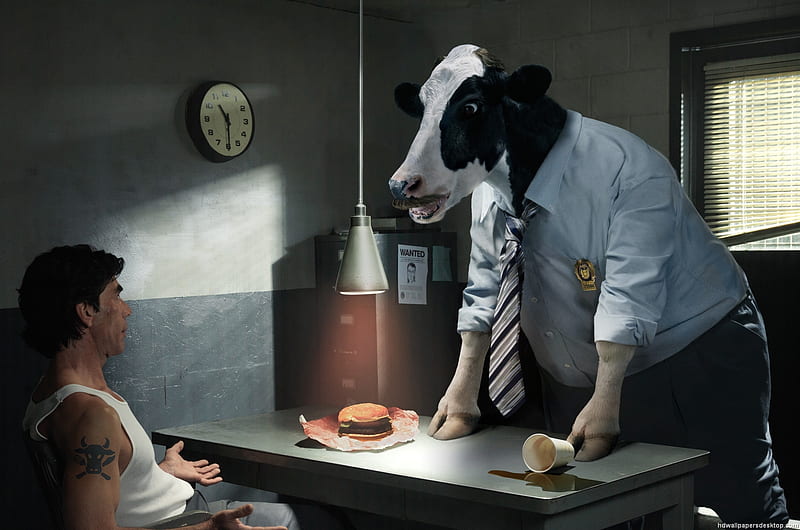 udder arrest, funny, humour, animals, cows, HD wallpaper
