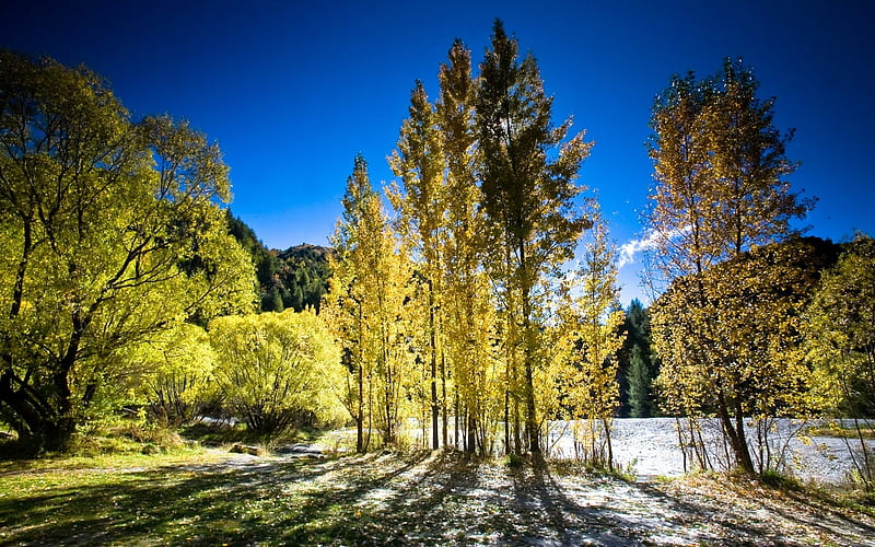 Autumn in New Zealand-Amazing nature, HD wallpaper