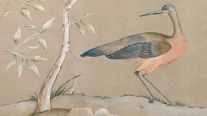 Colorful Bird Chinoiserie Wall Background Chinoiserie, HD wallpaper