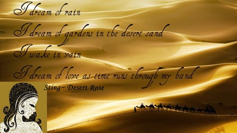 Desert Rose - song by Sting, sand, song, Desert, Rose, beauty, camel, caravan, HD wallpaper
