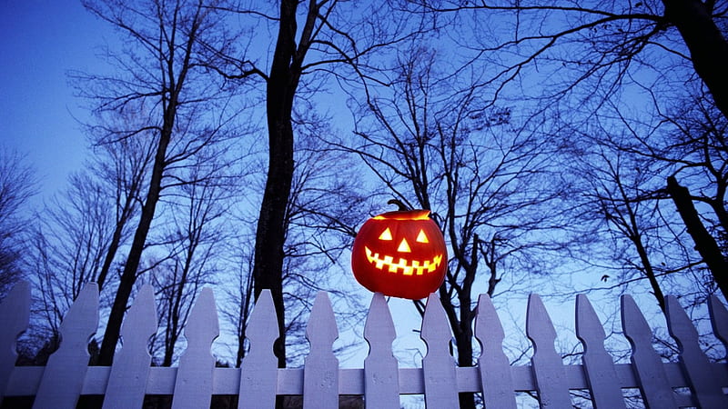 *** Frightening Halloween Soon ***, swieta, halloween, amerykanskie, okazjonalne, HD wallpaper