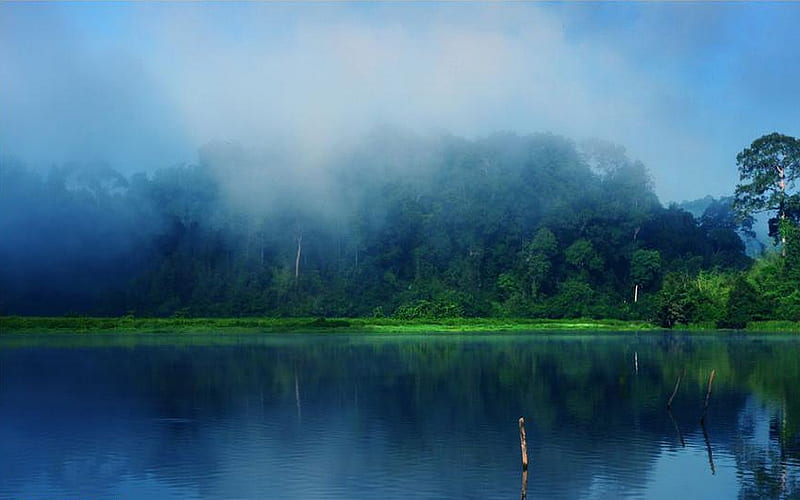 Crocodile Lake, trees, sky, clouds, lake, fog, mist, florida, calm, refuge, green, serene, key largo, crocodile, wildlife, HD wallpaper