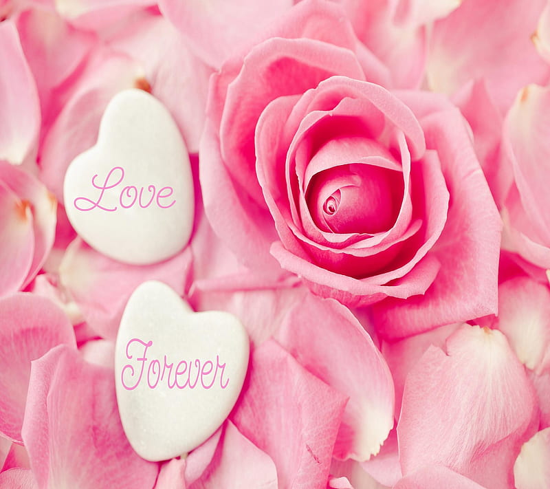 Love Forever, siempre, love, HD wallpaper | Peakpx