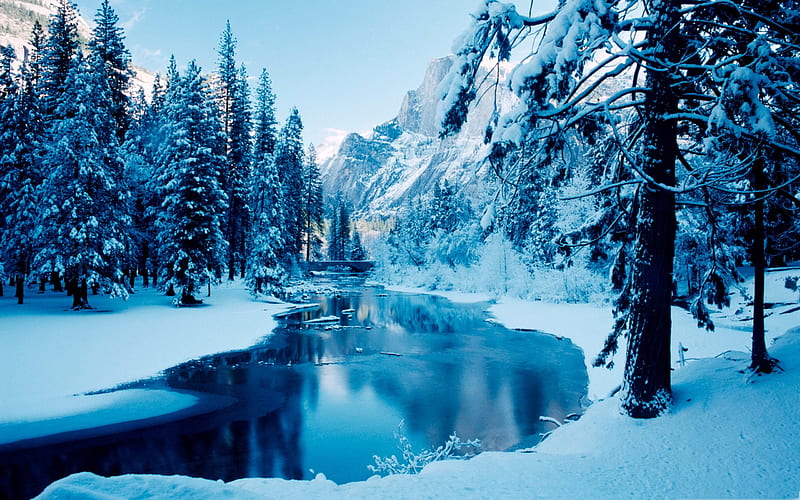 blue winter landscape-winter theme, HD wallpaper