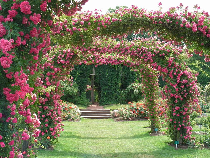 Beauty arches, arches, roses, trees, green, HD wallpaper