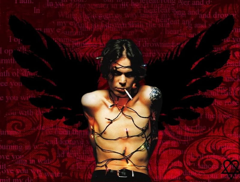 ~Angel of Music~, him, black wings, ville valo, angel of music, HD wallpaper