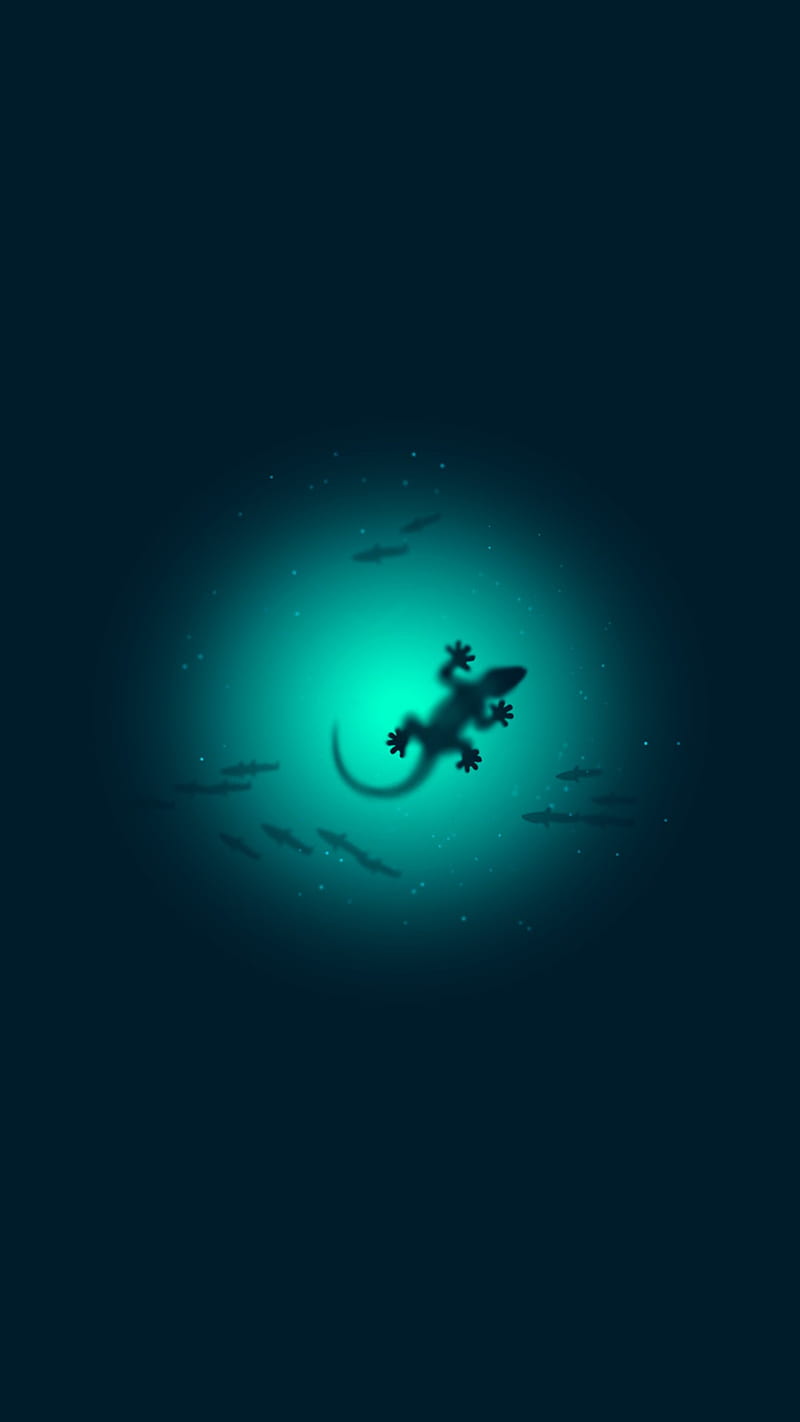 Lizard, earth, latest, map, minimal, phone, space, void, whale, whales, world, HD phone wallpaper