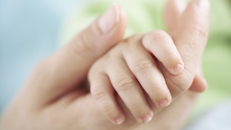 A Mother's Touch, hands, touch, love, child, mother, sweet, HD wallpaper