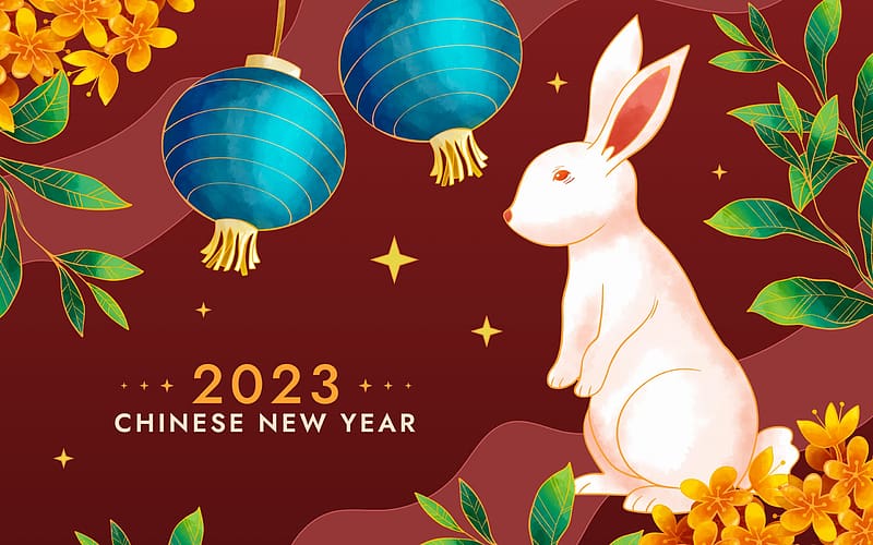 Year of the Rabbit, brown, craciun, christmas, card, new year, blue, 2023, bunny, chinese zodiac, HD wallpaper