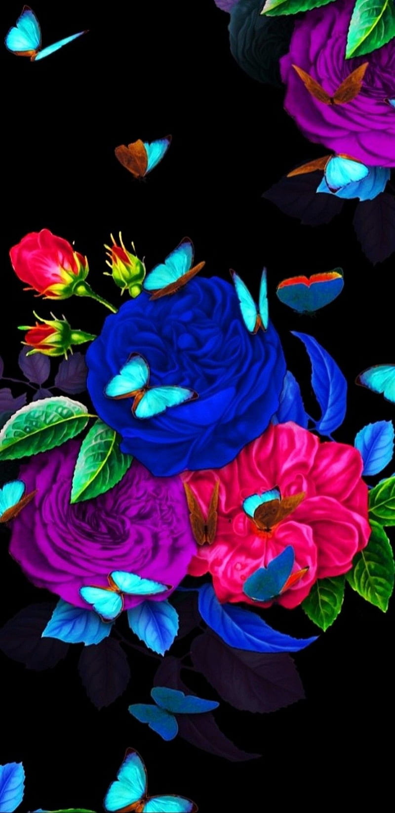 Rosey Butterflies, butterfly, flowers, rose, wild, HD phone wallpaper