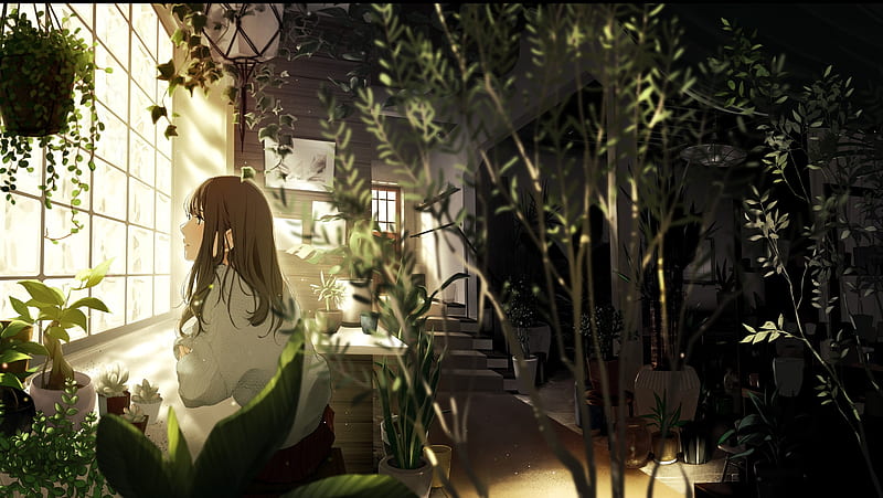anime girl window reflection drop rain look wallpaper hd wa - Eyecandy for  your XFCE-Desktop 