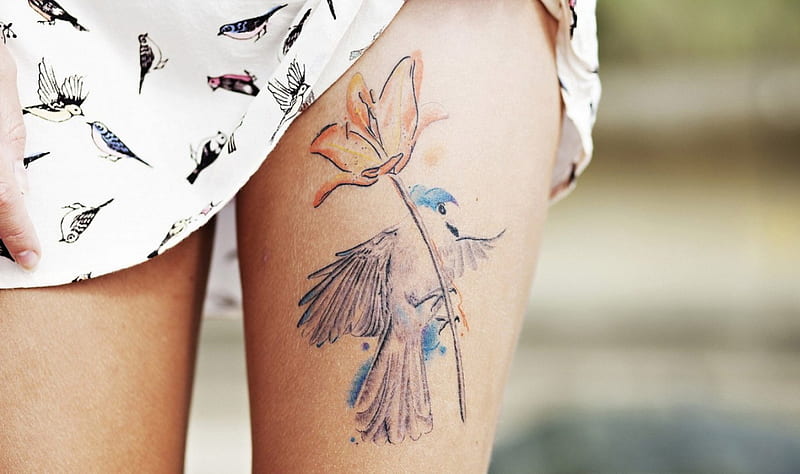 Tattoo, bonito, legs, girl, HD wallpaper | Peakpx
