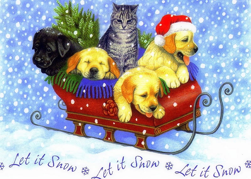 ★Let's it Snow Together★, sleigh, holidays, bonito, digital art, seasons, xmas and new year, greetings, paintings, drawings, lovely, christmas, love four seasons, festivals, creative pre-made, snowman, winter, hat, snow, weird things people wear, cats, dogs, celebrations, HD wallpaper