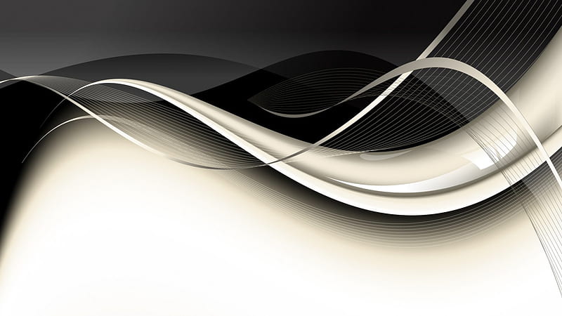 Dynamic Line, black, lines, white, abstract, vector, HD wallpaper