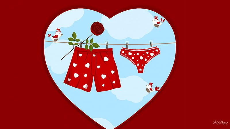 Valentine Underwear, rose, birds, sky, bikini, cute, thong, Valentines Day, underwear, laundry, heart, whimiscal, clothes line, boxers, HD wallpaper