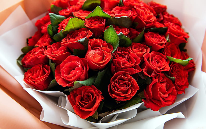 Ramo de rosas rojas, hermosas ramo, rosas rojas, con un gran ramo de flores, Fondo de pantalla HD | Peakpx