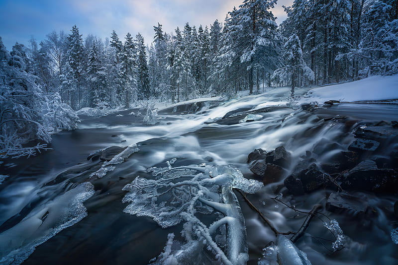 Ringerike Norway Water Flow , snow, trees, nature, HD wallpaper