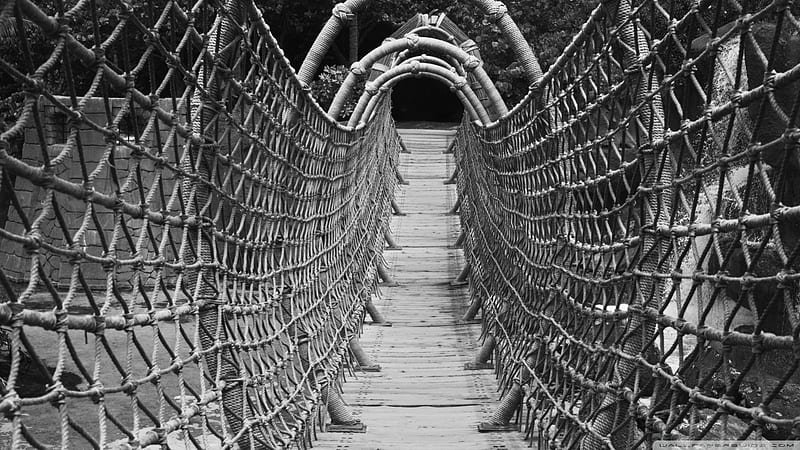 wonderful wood and rope bridge, black and white, pedestrian, rope, bridge, HD wallpaper